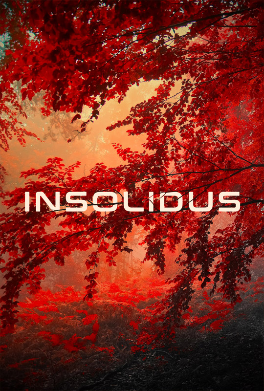 insolidus poster