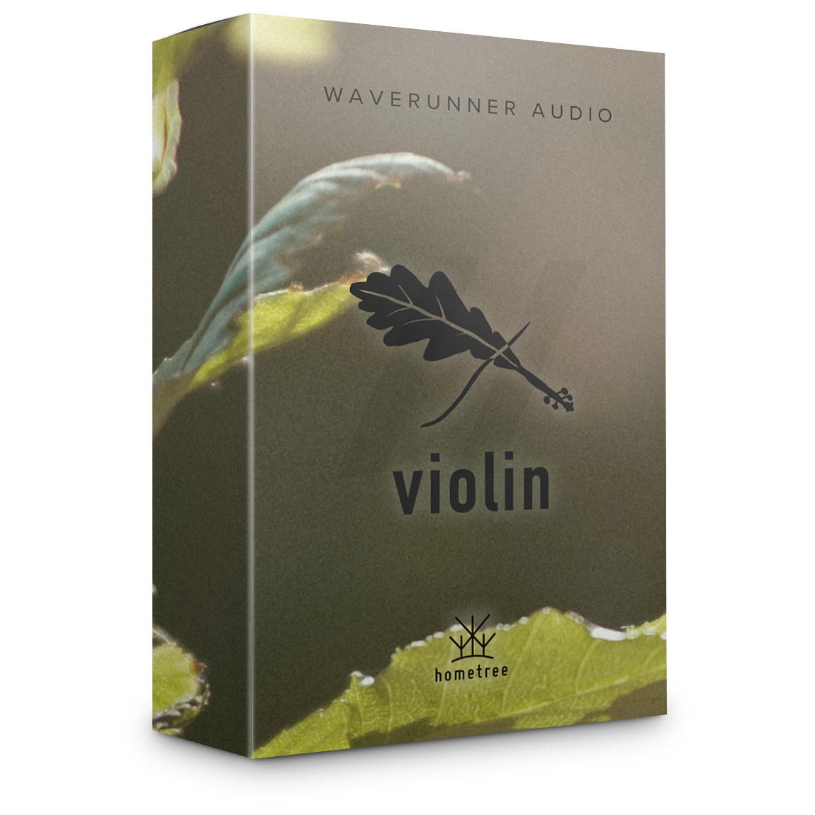 Alder Violin Alder Vln Box 1