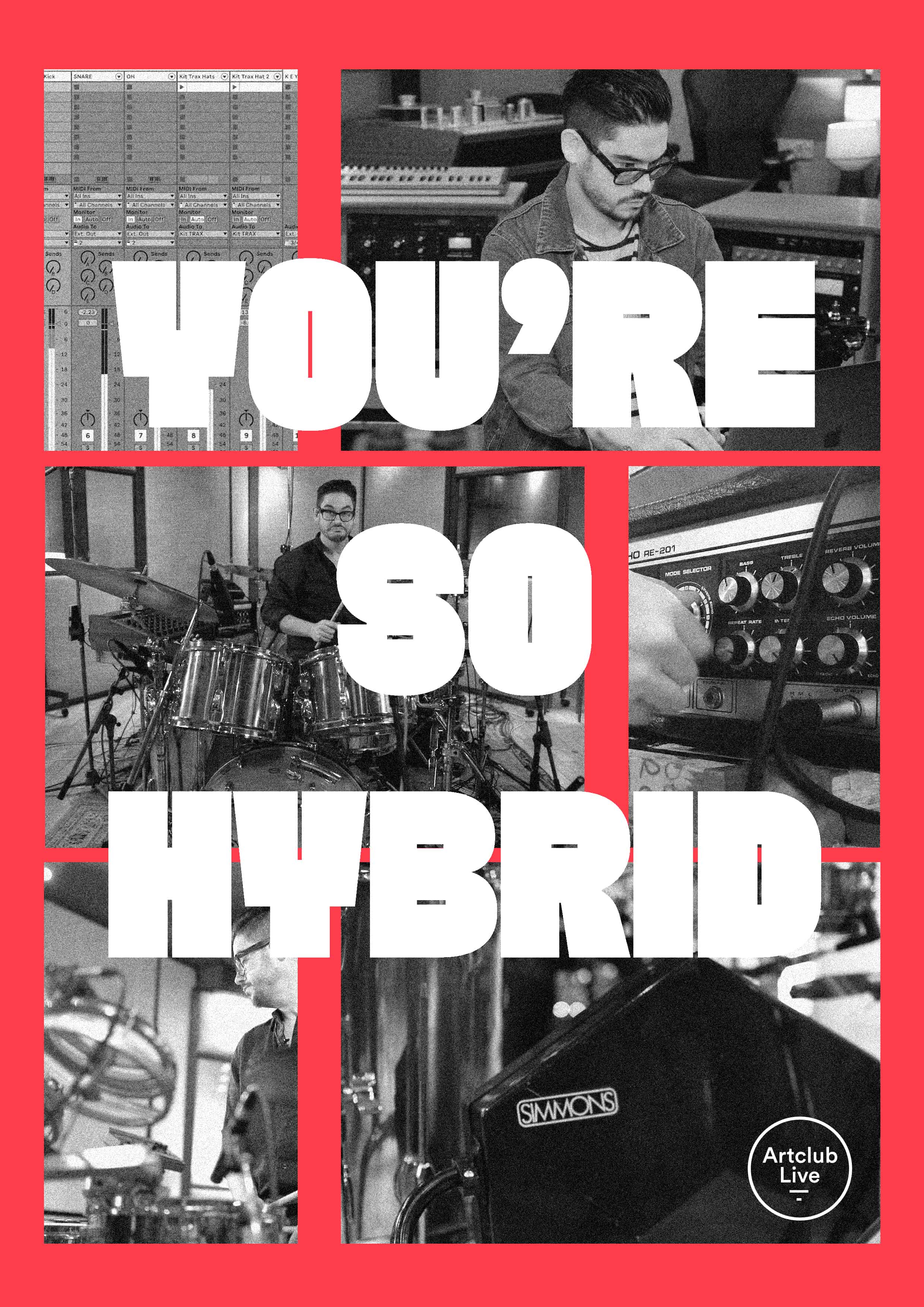 You_re_So_Hybrid