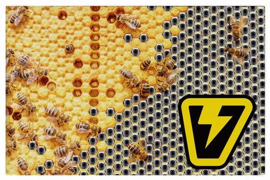 voltage bees
