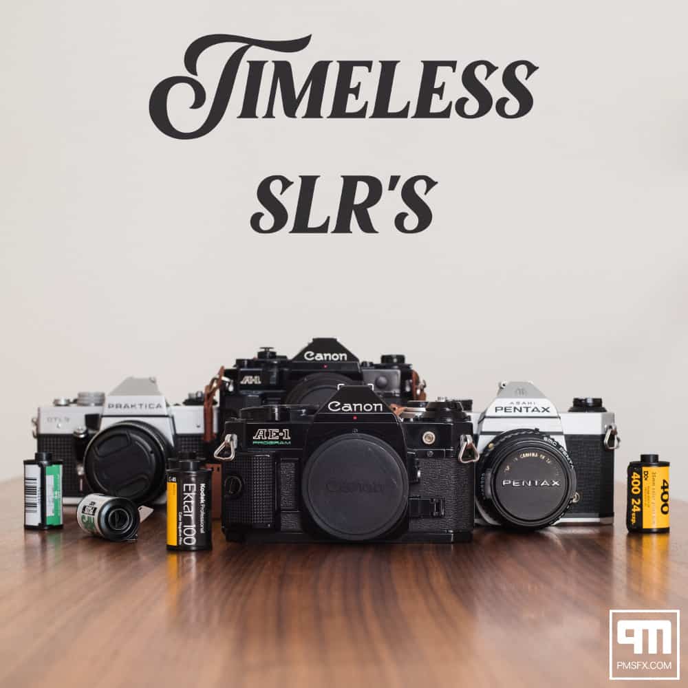 Cover Timeless SLRs