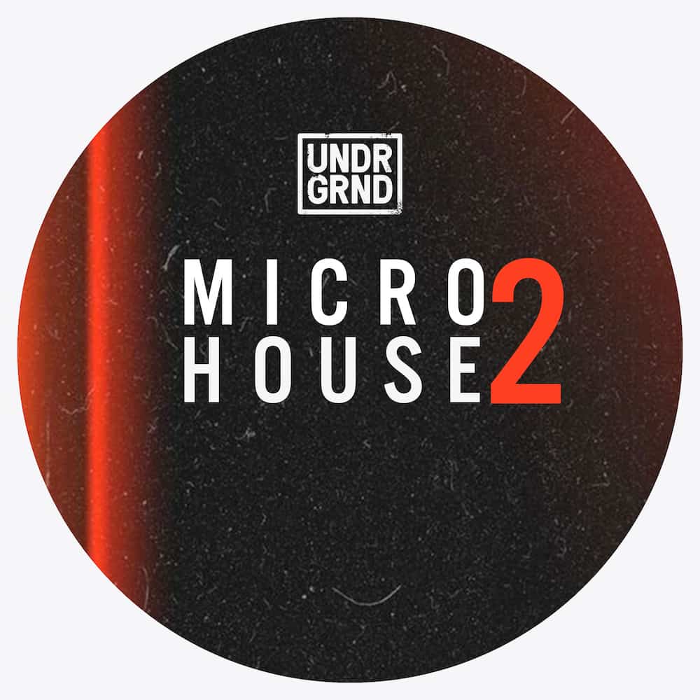 micro_house_2_1000x