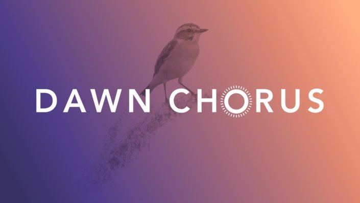 DAWN-CHORUS-A-must-Look-and-Listen-to-for-Sound-Designer