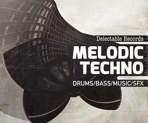 Delectable Records Melodic Techno 300