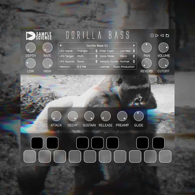 Gorilla Bass Free or Pro Version