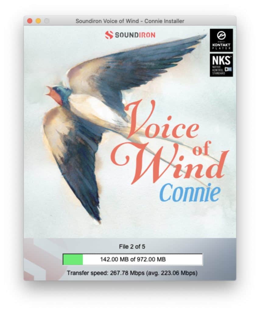 Soundirons Voice of Wind Connie