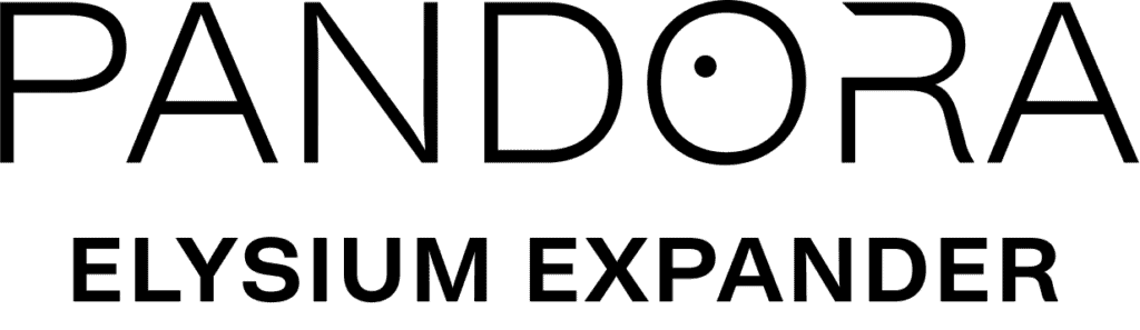 Pandora Logo black