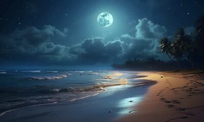 thorstenmeyer Create an image featuring a serene moonlit beach 5e4ee1b1 2afd 43f2 9480 015d8809433c IP394872 2