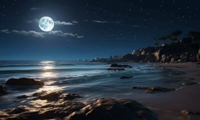 thorstenmeyer Create an image of a moonlit beach at night with b9f04d80 7429 4723 89d8 5d62be354eb0 IP394973 1