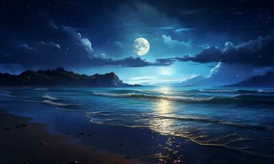 thorstenmeyer Create an image that showcases a moonlit beach at 0c933a66 e25a 4b02 b11d d891ef6e2bac IP395026 2