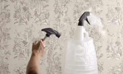 effective methods for wallpaper removal