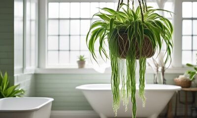 ideal plants for humid bathrooms