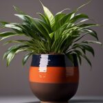 indoor plants thrive with top quality potting soil