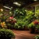 optimal lighting for indoor plants