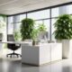 productivity boosting office desk plants