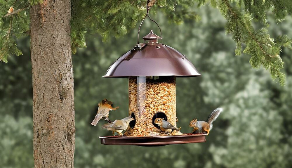 squirrel proof bird feeder recommendations