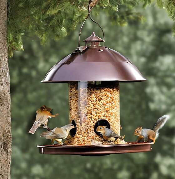 squirrel proof bird feeder recommendations