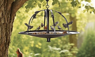 squirrel proof bird feeders for safety and happiness