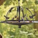 squirrel proof bird feeders for safety and happiness