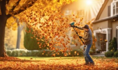 top cordless leaf blowers