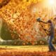 top cordless leaf blowers