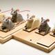 top picks for mouse traps