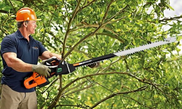 top pole saw recommendations