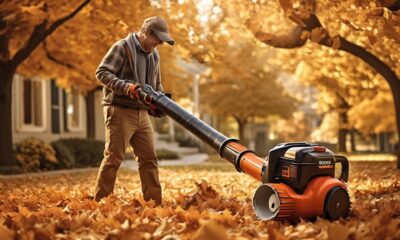 top rated battery powered leaf blowers