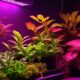 top rated grow lights for healthy indoor plants