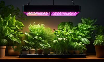 top rated grow lights for indoor plants