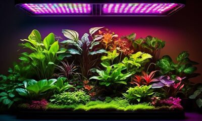top rated indoor grow lights