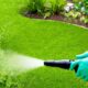 top rated weed killers for lawns