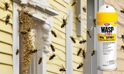 top wasp spray recommendations