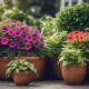 container garden plant guide
