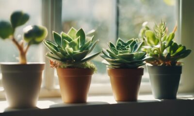 easy beginner plants list