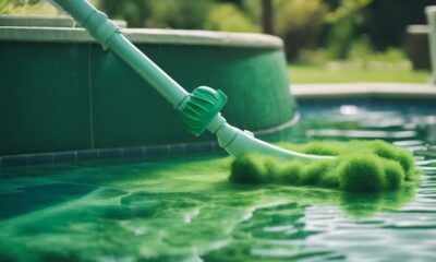 effective pool vacuums recommended