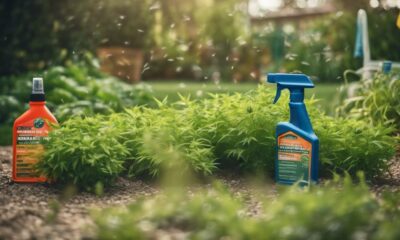effective weed control solutions