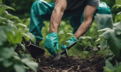 eliminating poison ivy effectively