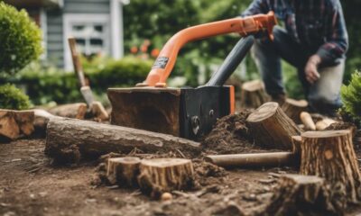 expert advice on stump removal