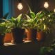 indoor plant lights guide