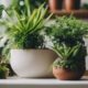 online plant store recommendations