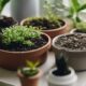 optimal soil for houseplants