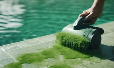 removing algae from pool