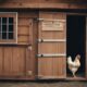 secure chicken coop doors