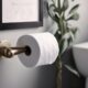 toilet paper holders review