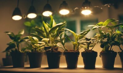 top 15 indoor plant lights