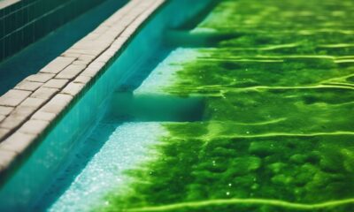 top algae pool vacuums