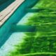 top algae pool vacuums