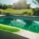 top pool algae vacuums
