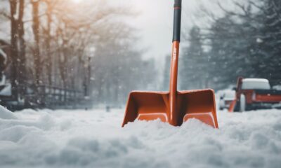 top snow shovel picks